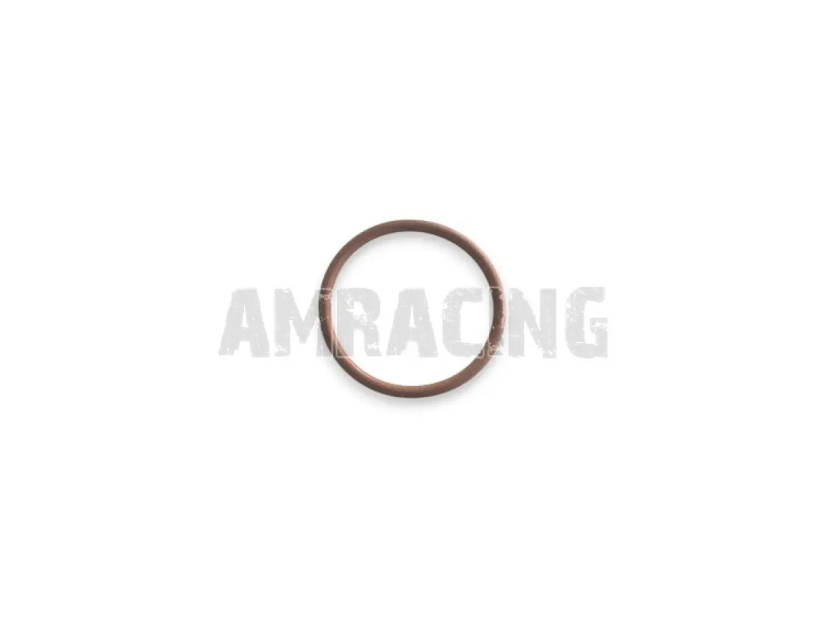 O RING 2087 (21,95x1,78) MARRONE